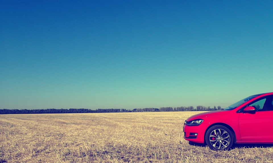 На лугу пасутся VW — Сообщество «Фотография» на DRIVE2