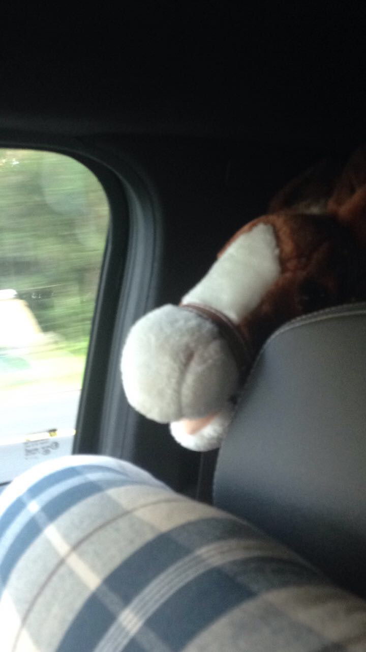 EMMA Серпухов 2017 #непанацея — Skoda Octavia A5 Mk2, 1,4 л, 2011 года ...