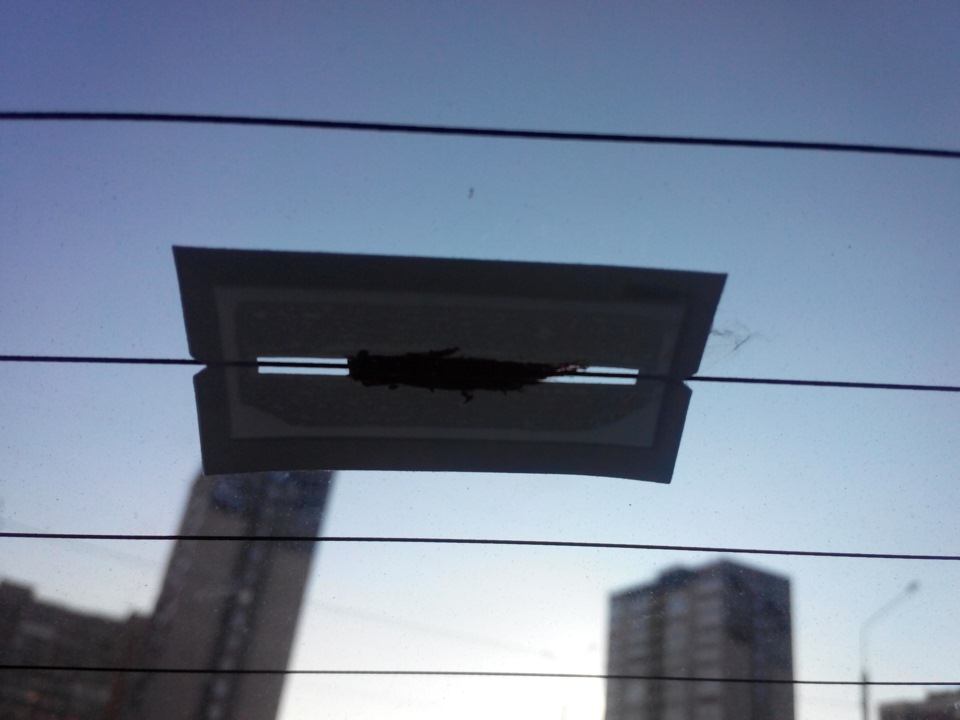 Восстановление нитей обогрева заднего стекла часть 3 — Nissan Almera II ...