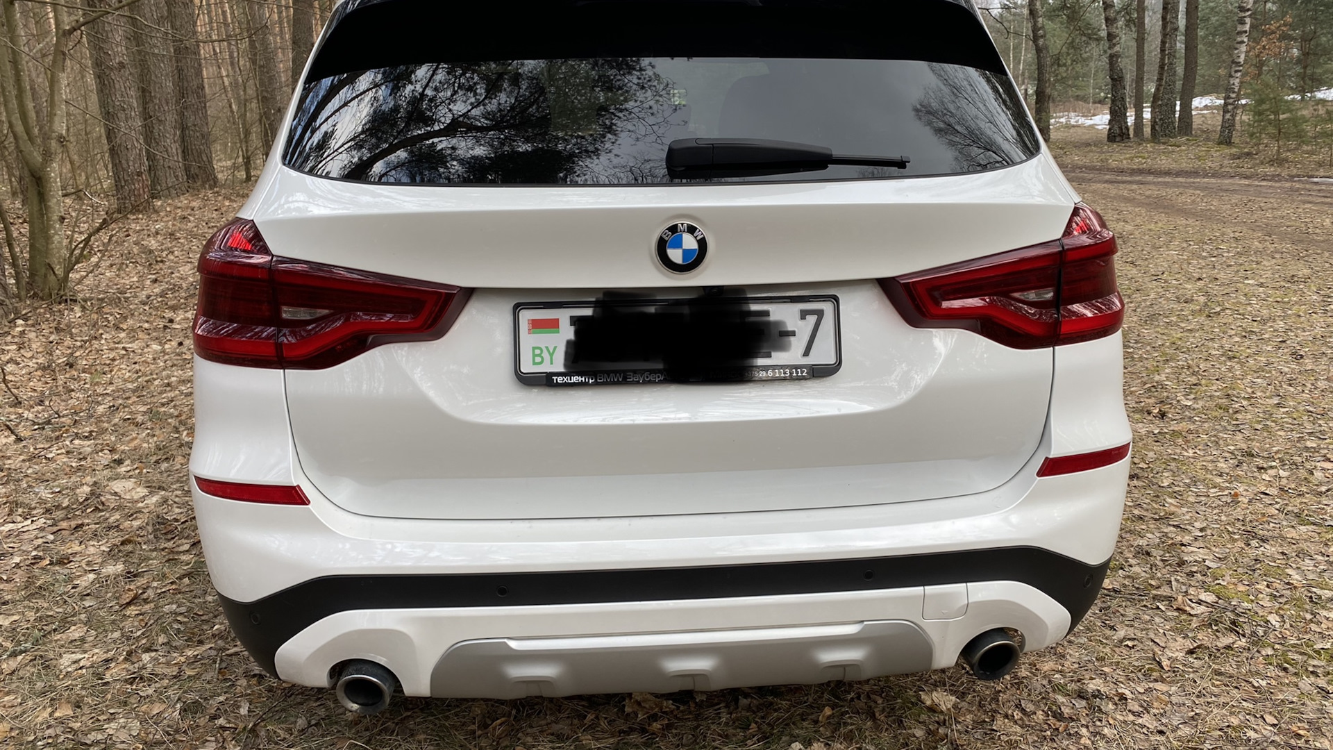 BMW X3 (G01) 2.0 бензиновый 2018 | Белый минерал USA на DRIVE2