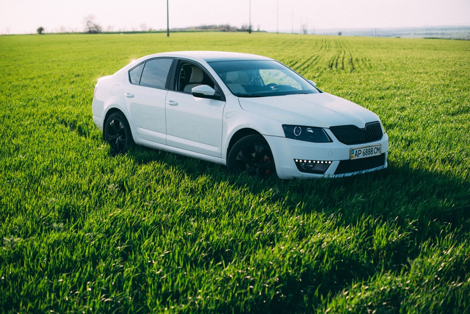 Как выглядит белая шкода тонировка лобового стекла - козырек шкода А7 - Skoda Octavia A7 Mk3, 2 л, 2013 г