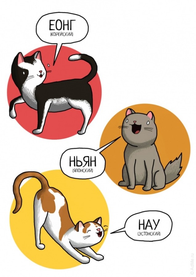 Кошка по немецки