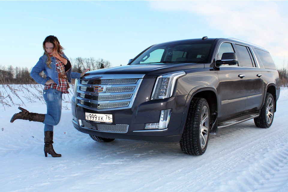 Cadillac Escalade Expedition