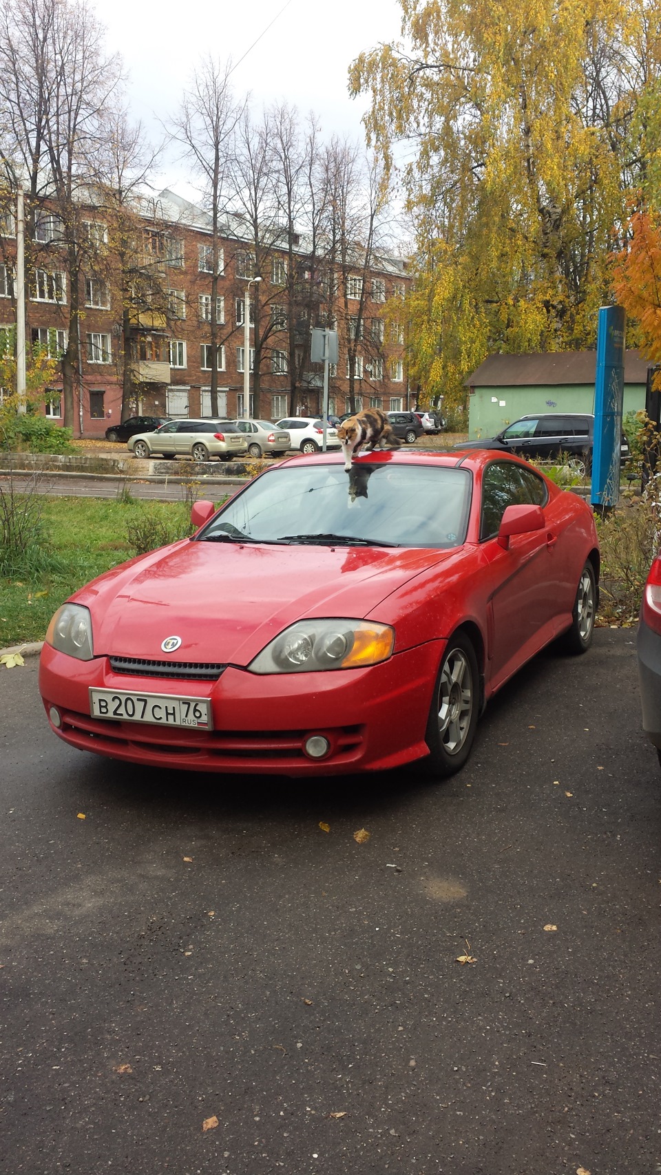 Кто сказал, что на машине нельзя спать?! — Hyundai Tiburon (GK), 2 л, 2003  года | фотография | DRIVE2