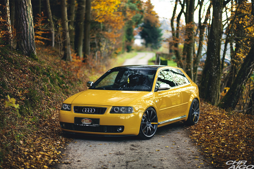 А3 8l. Audi s3 8l. Audi a3 стенс. Audi s3 8l stance. Audi s3 8l Wrap.