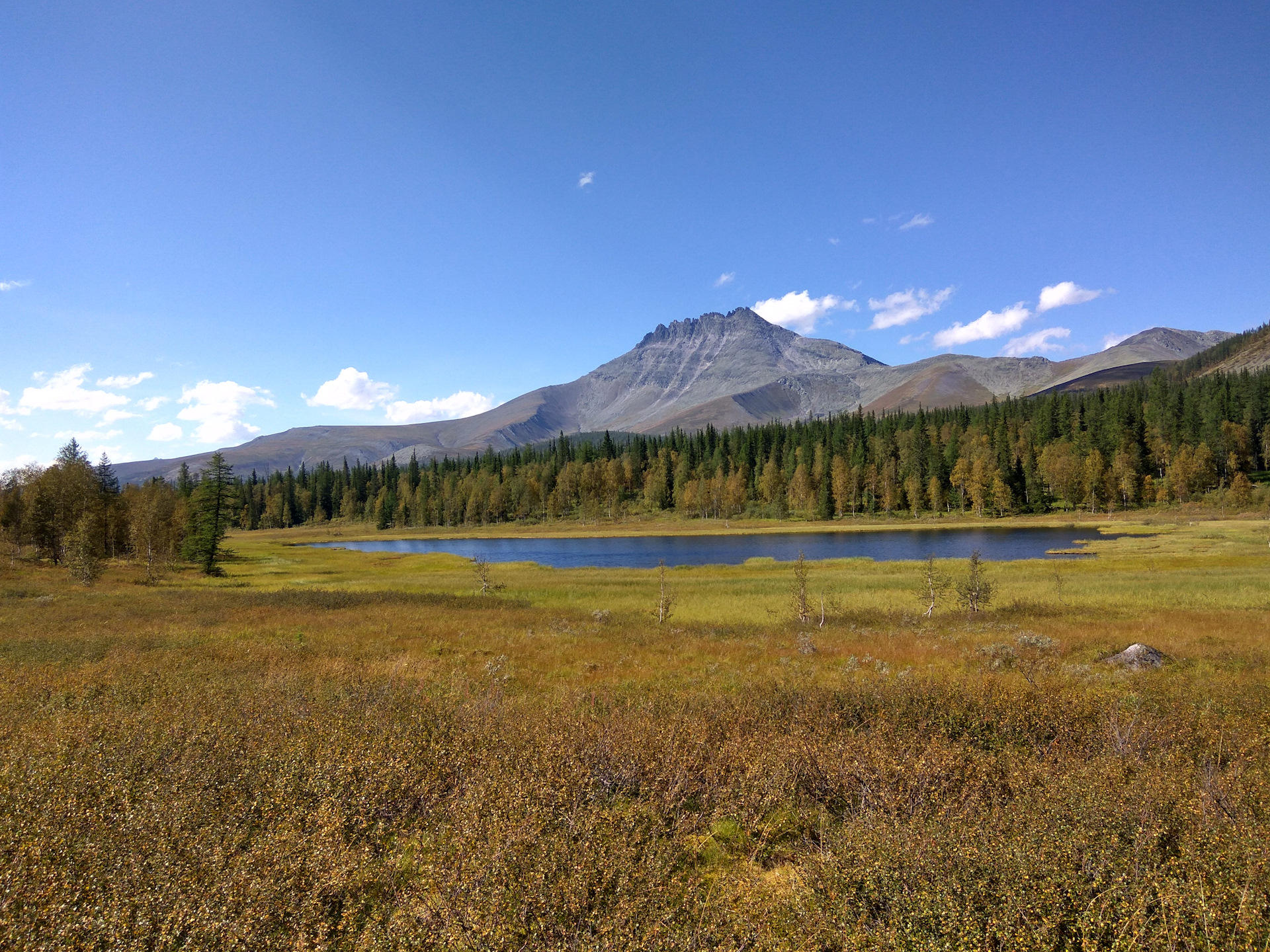 Приполярный урал фото