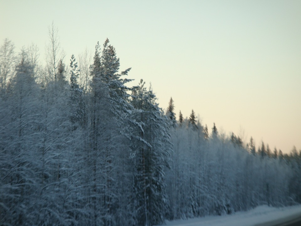 Архангельск-Емецк-Архангельск — Hyundai Solaris, 1,6 л, 2011 года ...