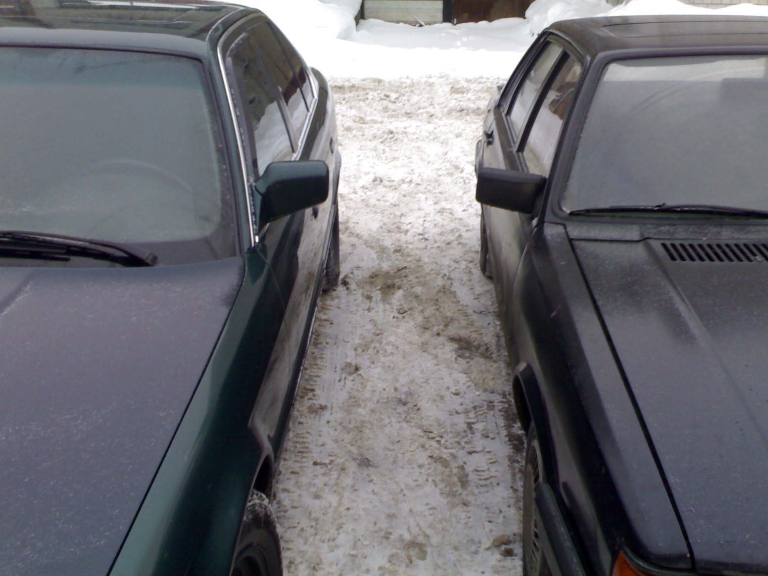 Машины у ворот не ставить. — Audi 80 (B2), 1,8 л, 1986 года | фотография |  DRIVE2