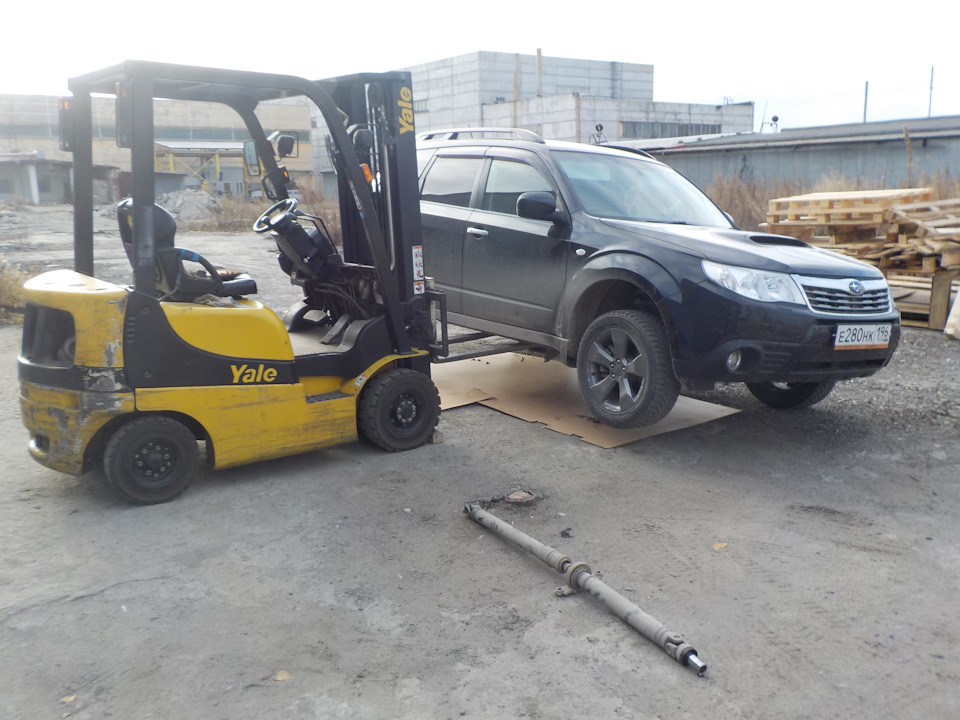 Фото в бортжурнале Subaru Forester (SH)