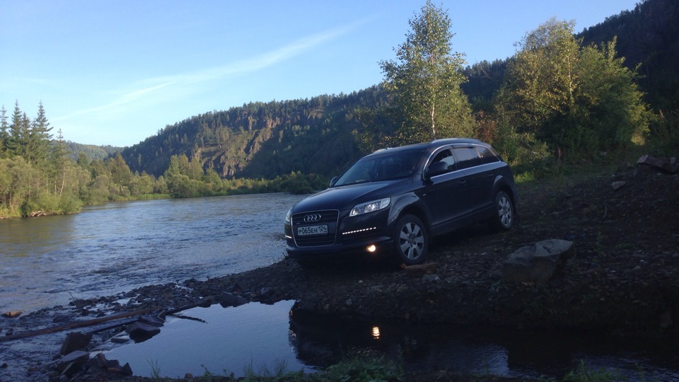 Audi q7 bug