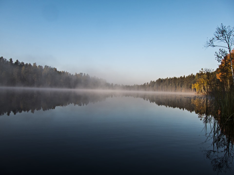 Пашозеро тихвинский район фото