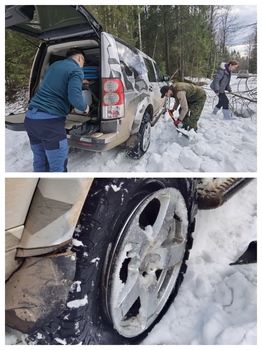 82. Вепсский лес — Land Rover Discovery IV, 3 л, 2012 года | путешествие |  DRIVE2