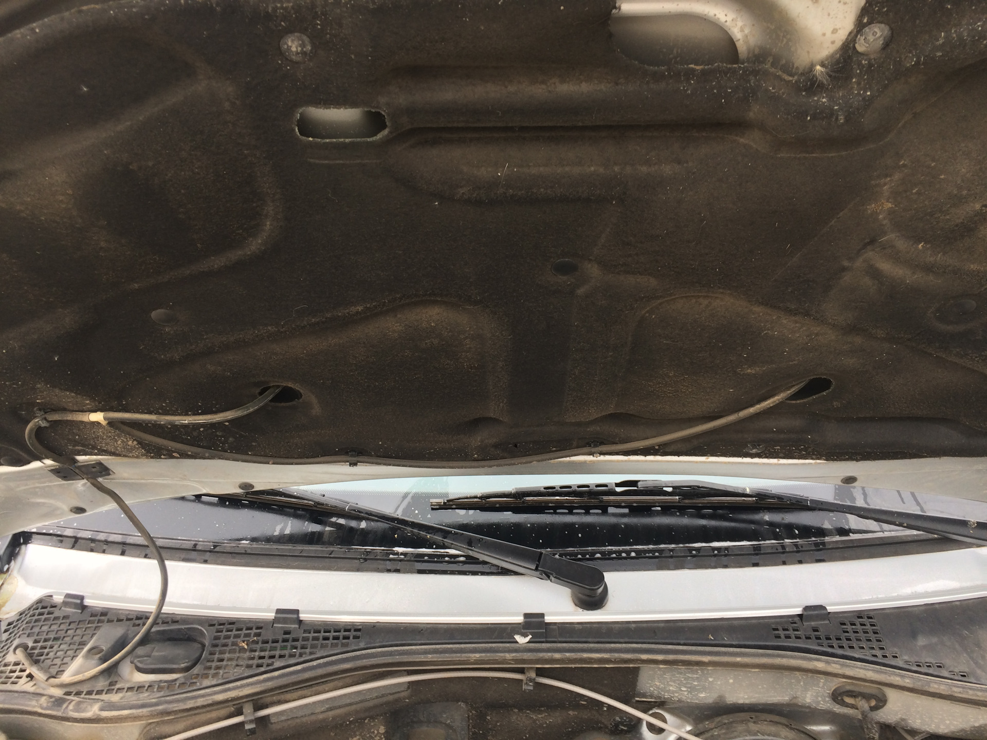 Веерные форсунки — Lada Ларгус, 1,6 л, 2017 года | аксессуары | DRIVE2