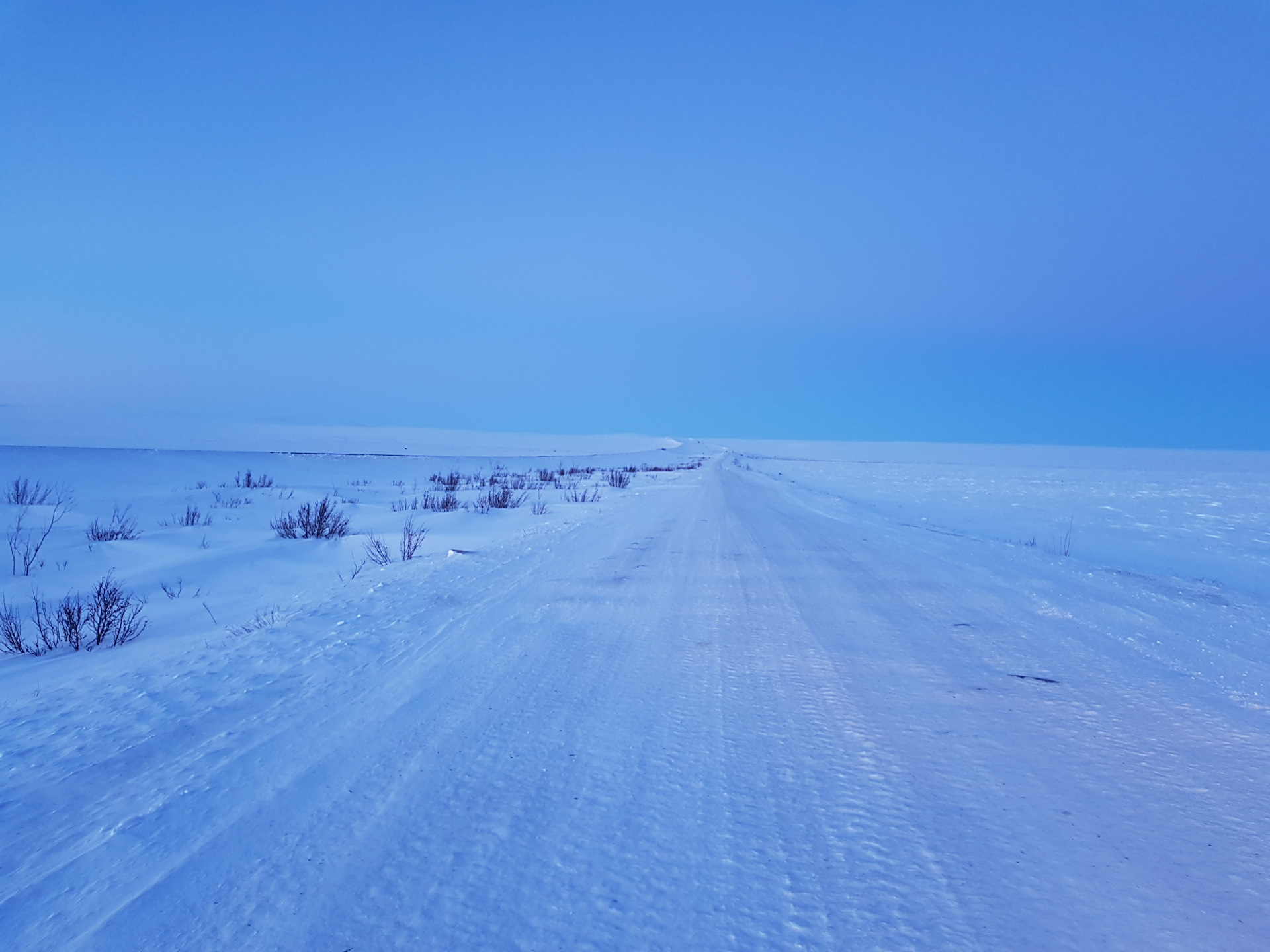 За полярным кругом. Зима за полярным кругом. Заполярный круг природа. Природа за полярным кругом зимой.