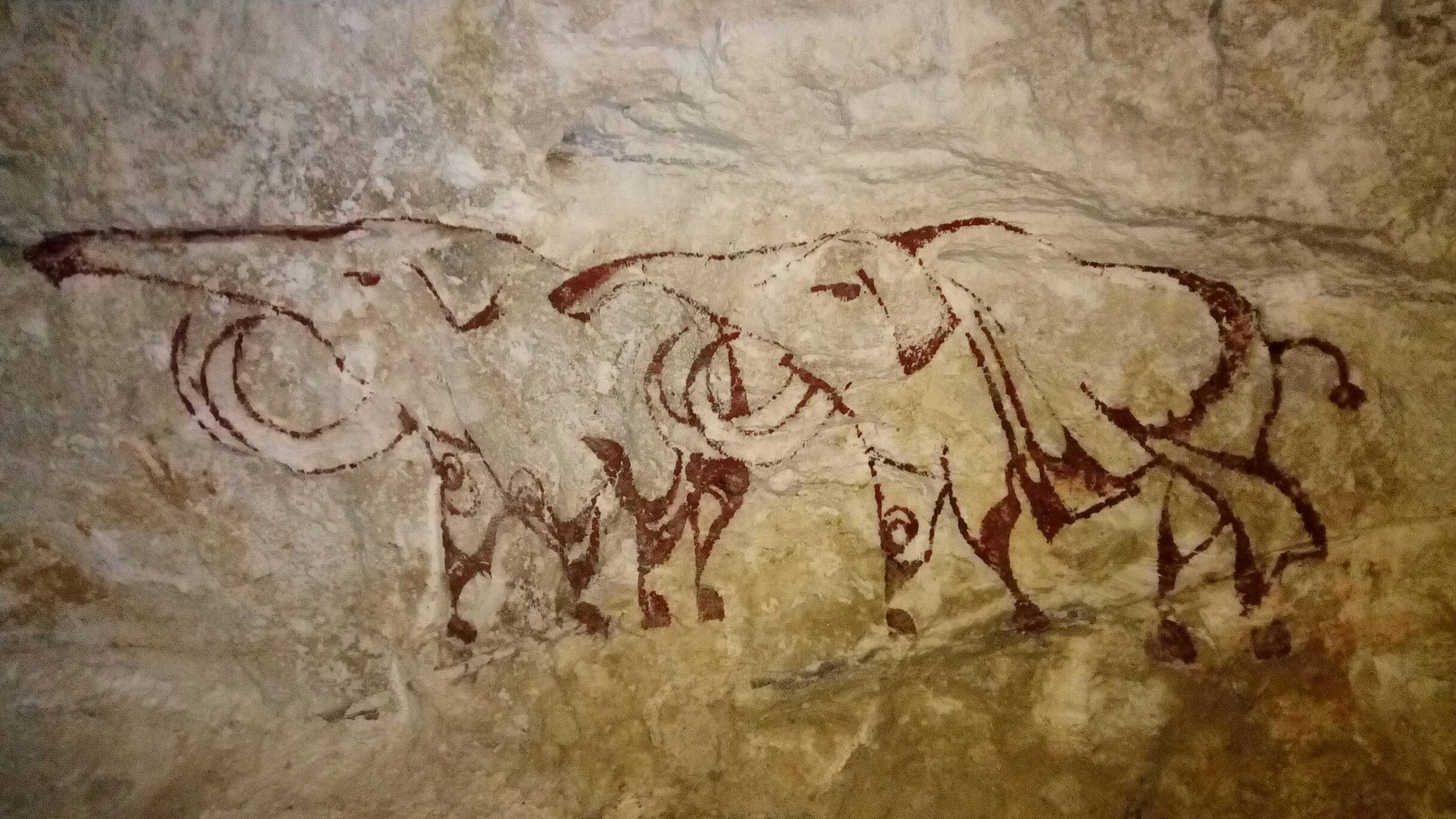 Первобытное изображение человека. Наскальная живопись пещера Руффиньяк. Мамонт пещера Руффиньяк. Первобытное искусство петроглифы. Наскальные рисунки Мамонтов мамонты.