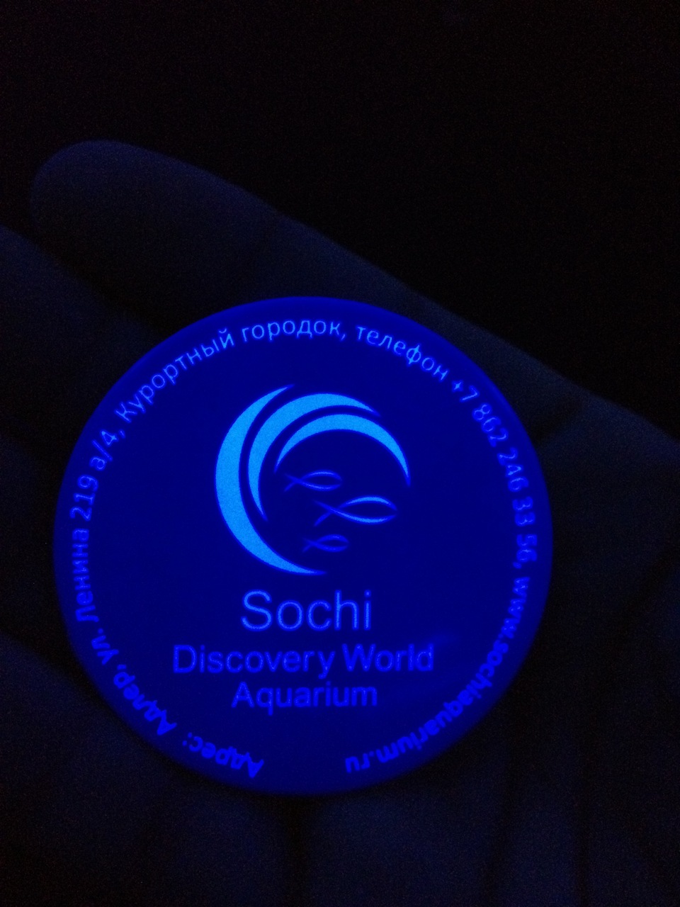 Короче, был я в Сочи (Sochi Discovery World Aquarium) — DRIVE2