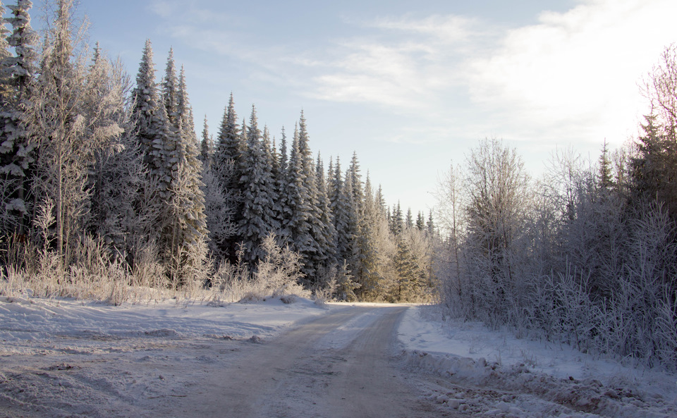Фото в бортжурнале Mitsubishi Pajero (4G)