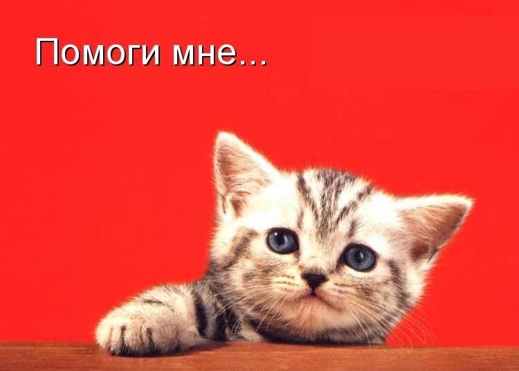 Родился, открытка помогите пожалуйста