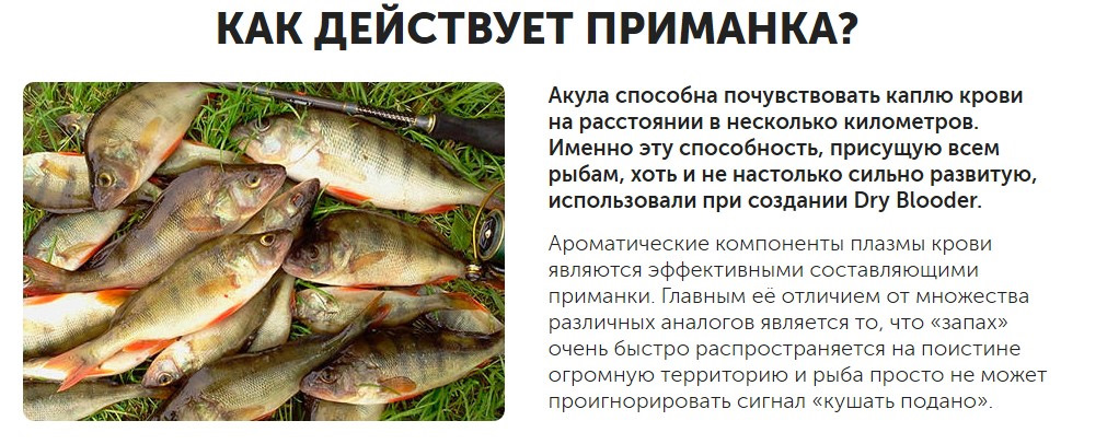 Рыба сильно пахнет. Активатор клева сухая кровь. Кровь приманка для рыб. Как действует приманка. Акулья приманка.