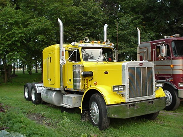 Peterbilt 359 v24