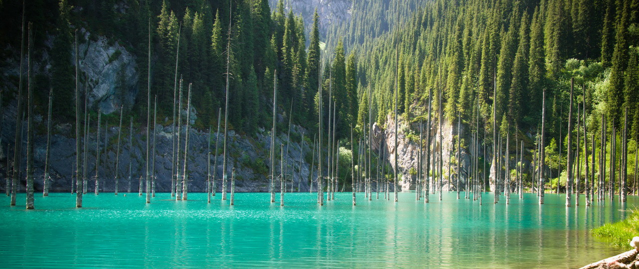 Kaindy Lake Kazakhstan