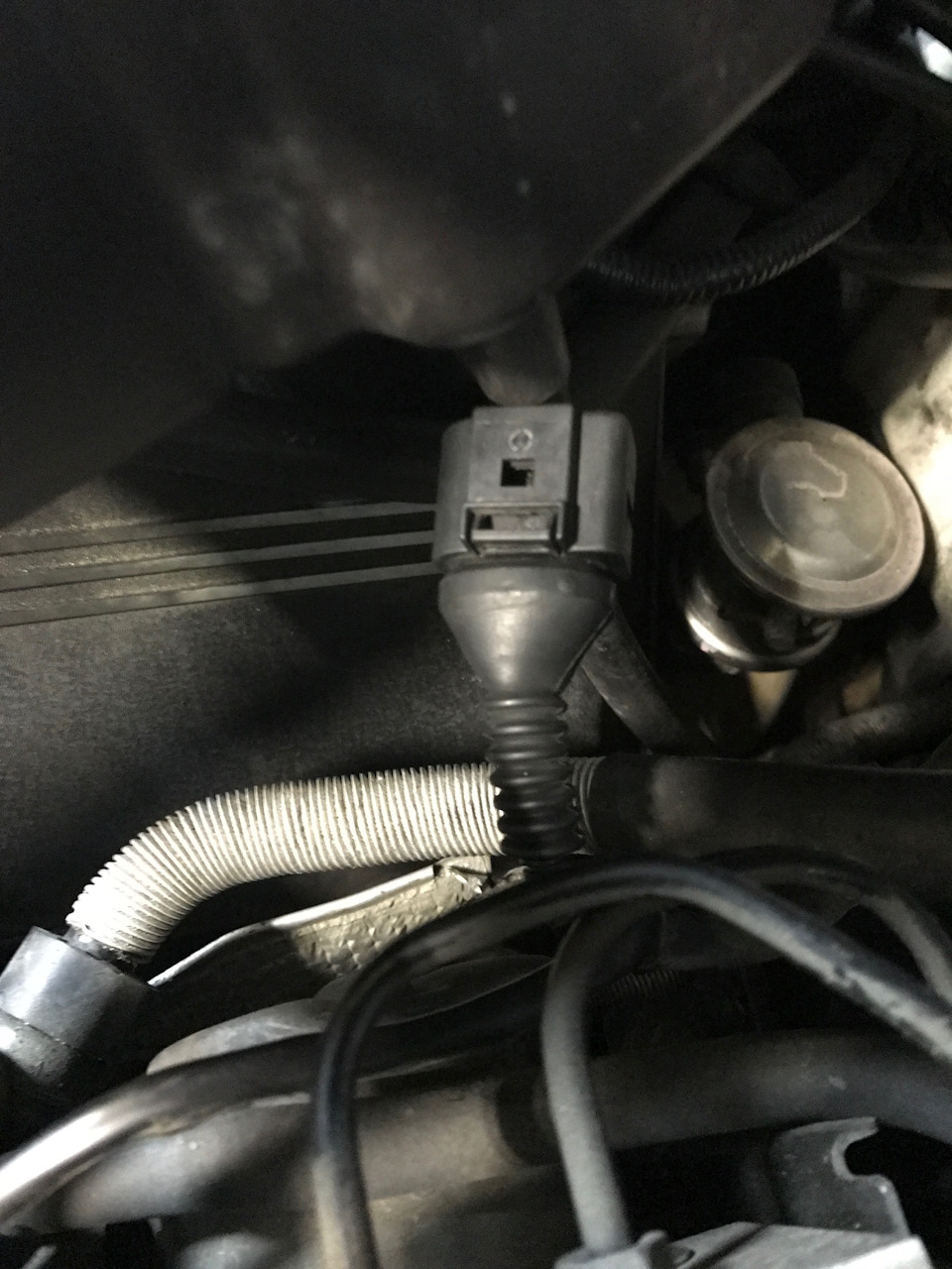 собран-прокачен-готов — Audi Allroad (C5)