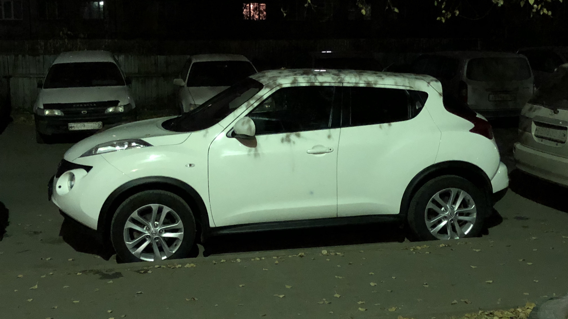 Nissan Juke (1G) 1.6 бензиновый 2012 на DRIVE2