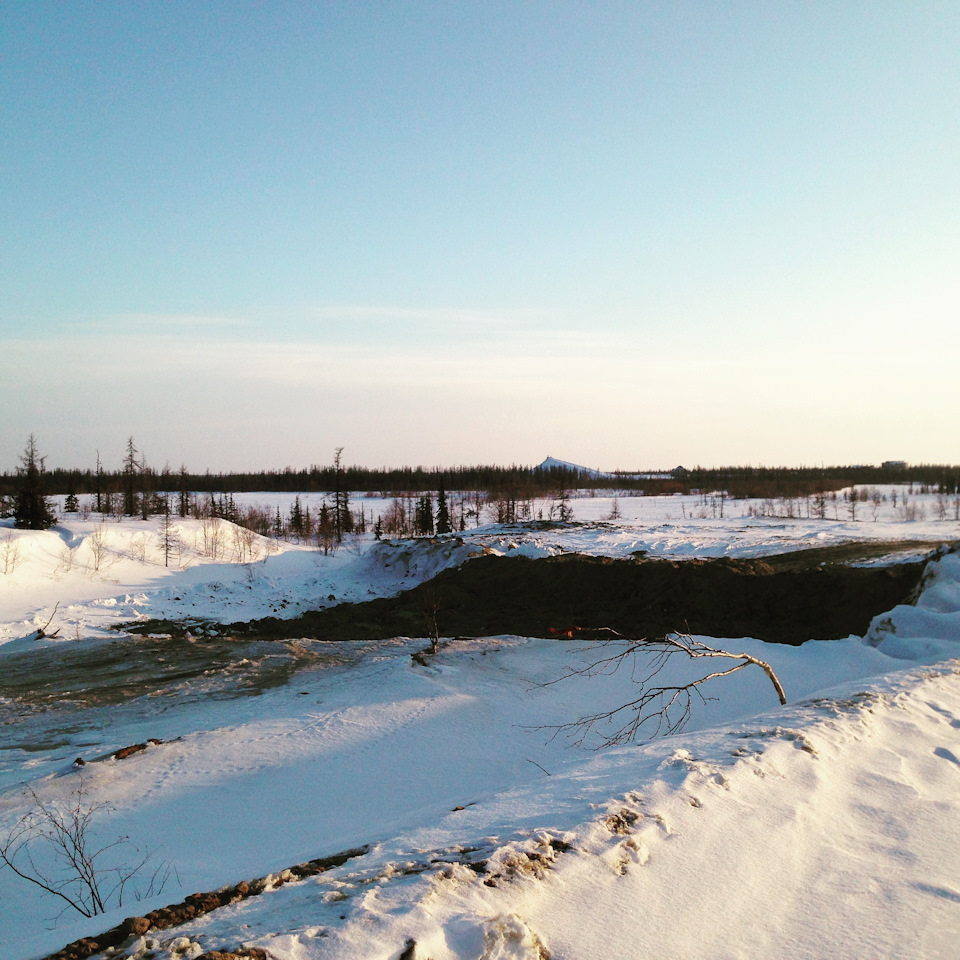Фото в бортжурнале УАЗ Patriot