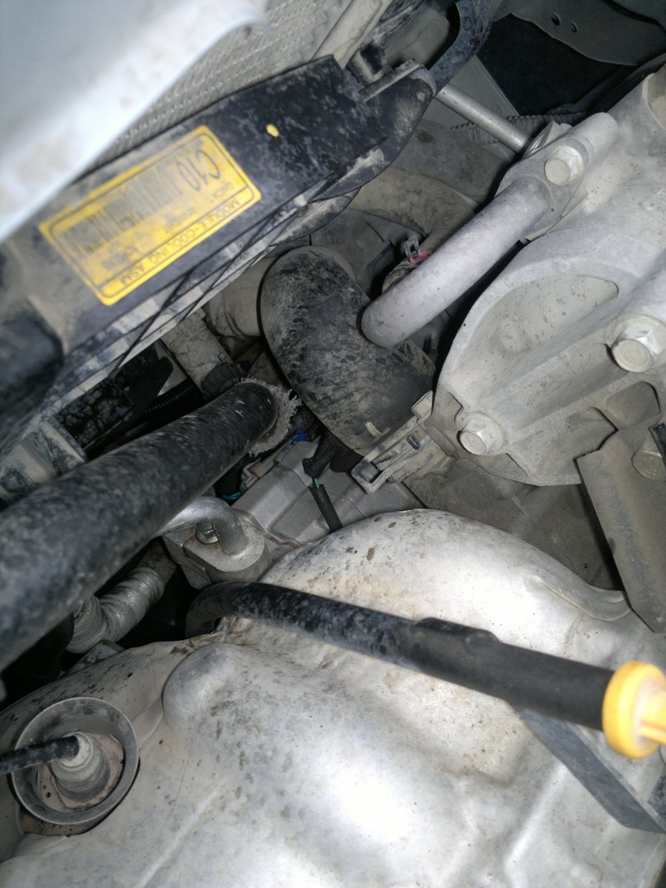 патрубок системы охлаждения — Chevrolet Aveo Sedan (1G), 1,4 л, 2010 ...