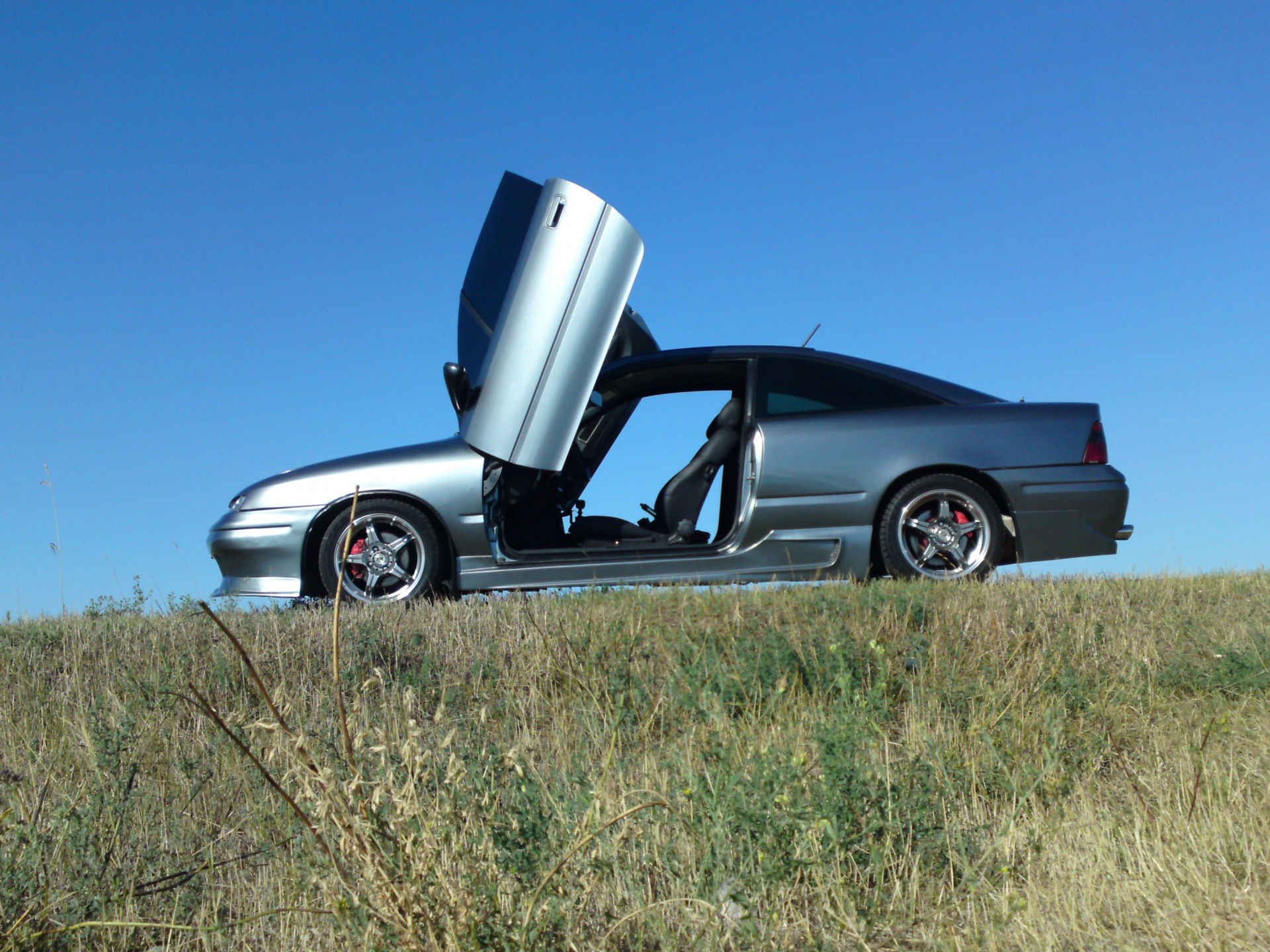 Аскания Нова и новые фото — Opel Calibra, 2 л, 1991 года | фотография |  DRIVE2