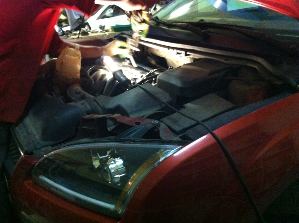 Замена ремня ГРМ — Ford Focus Hatchback II, 1,6 л, 2007 года | плановое ...