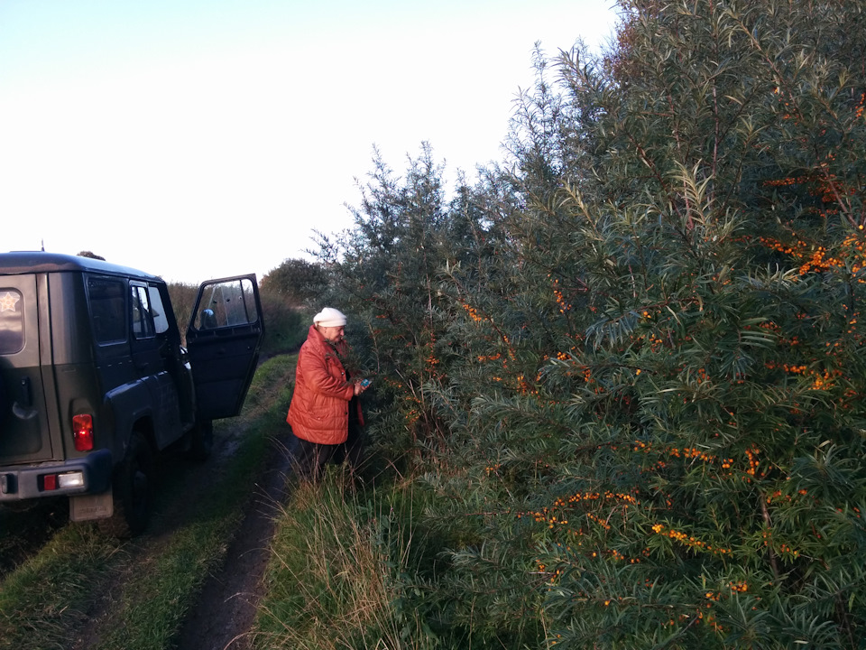 Фото в бортжурнале УАЗ 315195 Hunter