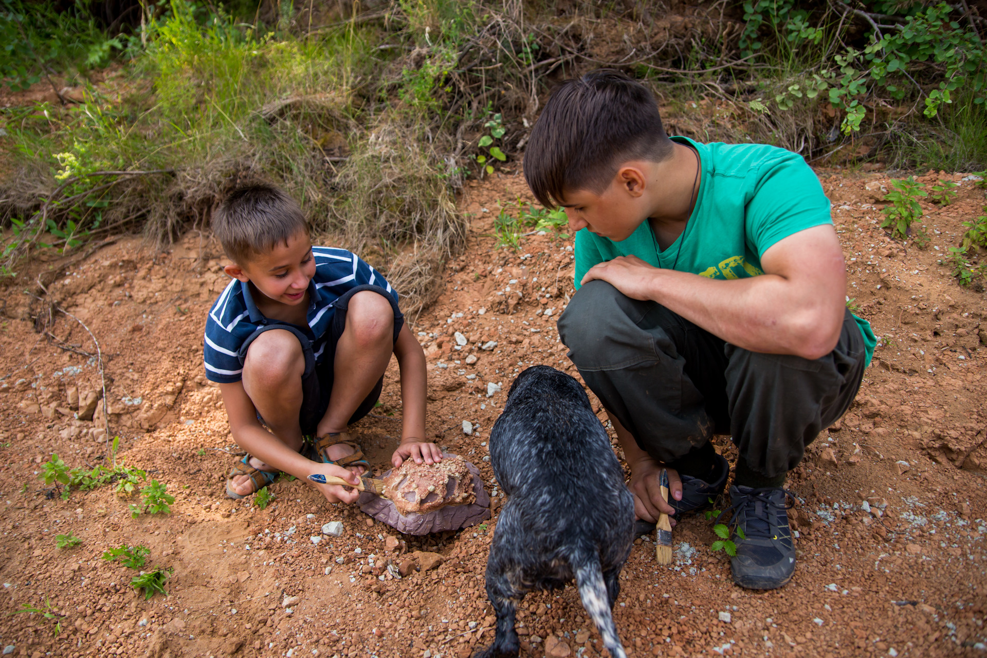 фотосессия мальчик с динозавром. мальчик нашел динозавра. мой домашний динозавр крузо. мой домашний динозавр фильм 2007 пёс. мой любимый динозавр фильм 2007.