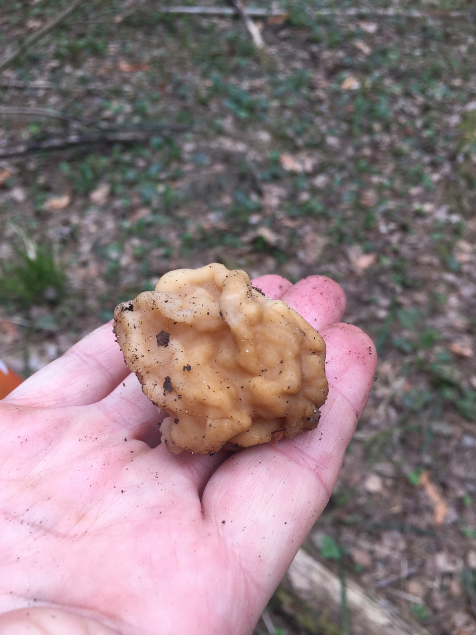 Фото в бортжурнале Nissan Note (1G)