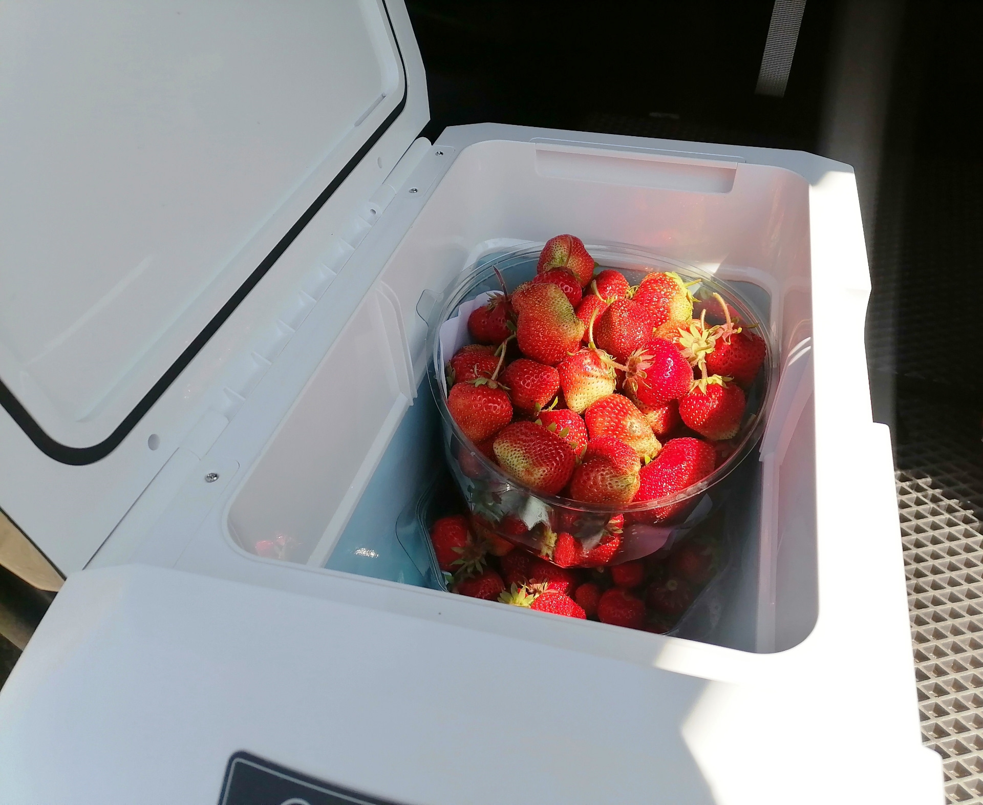 Летняя эксплуатация автомобильного холодильника AVS CC-20WAC (2023 ...