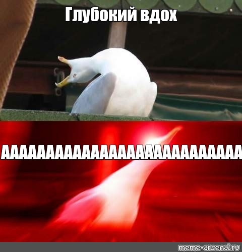 8iMuBQM_d6LmlcYPyRn5Vk6eBFM-960.jpg