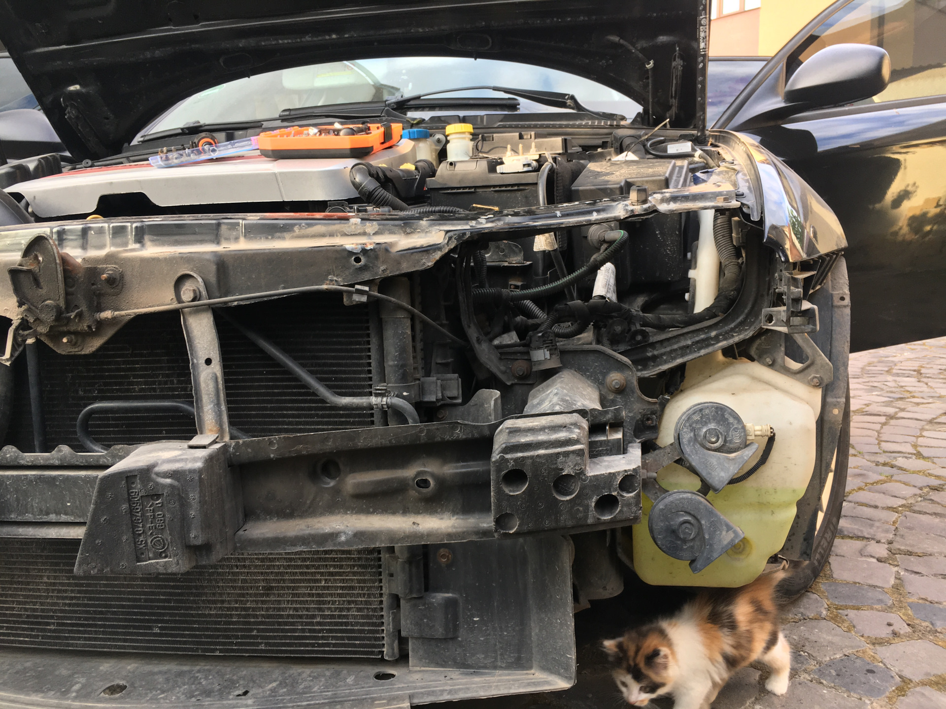 Как снять молдинг опель вектра б - 86 фото