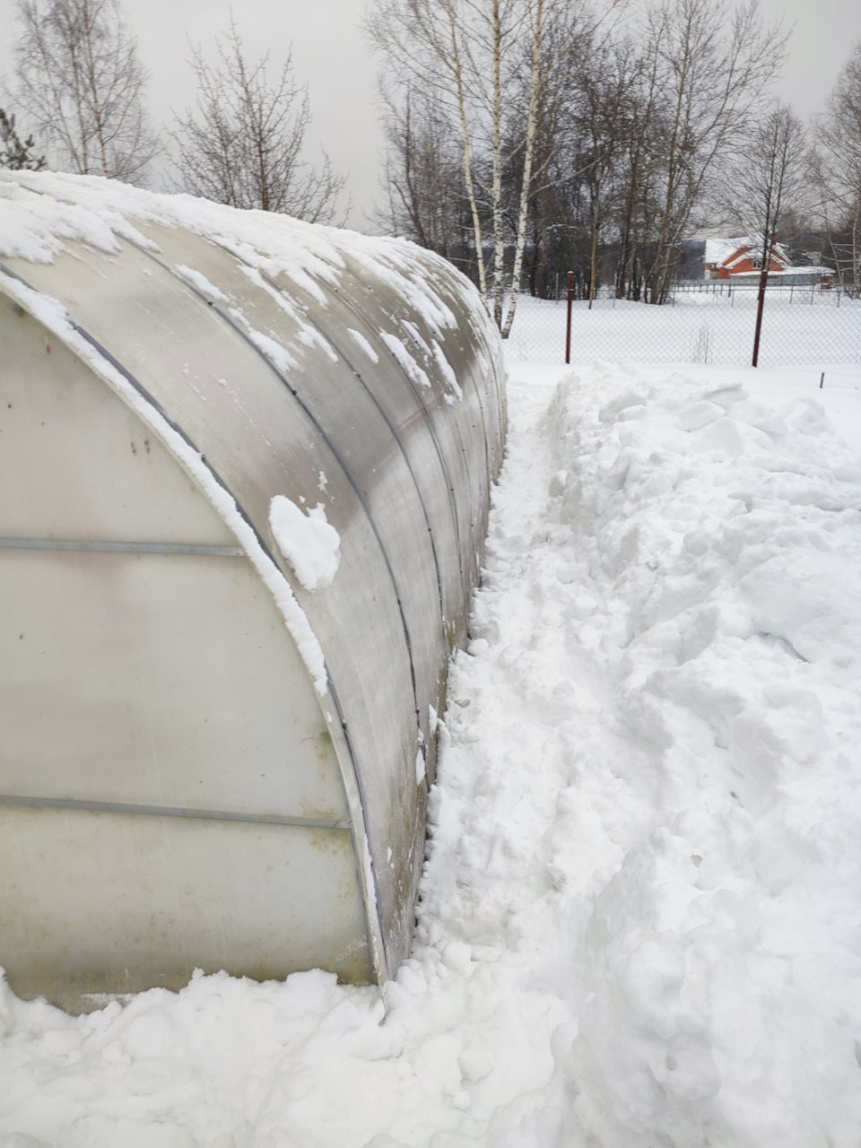теплица дачная зимняя. зимний парник. зимняя теплица из поликарбоната. теплица зимой. зимняя арочная теплица.