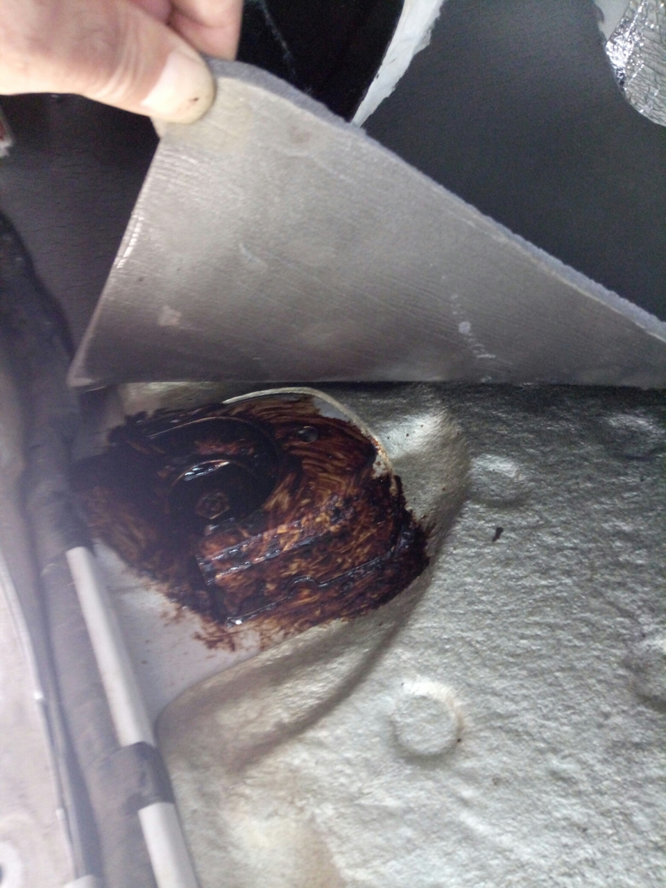 Фото в бортжурнале Great Wall Hover