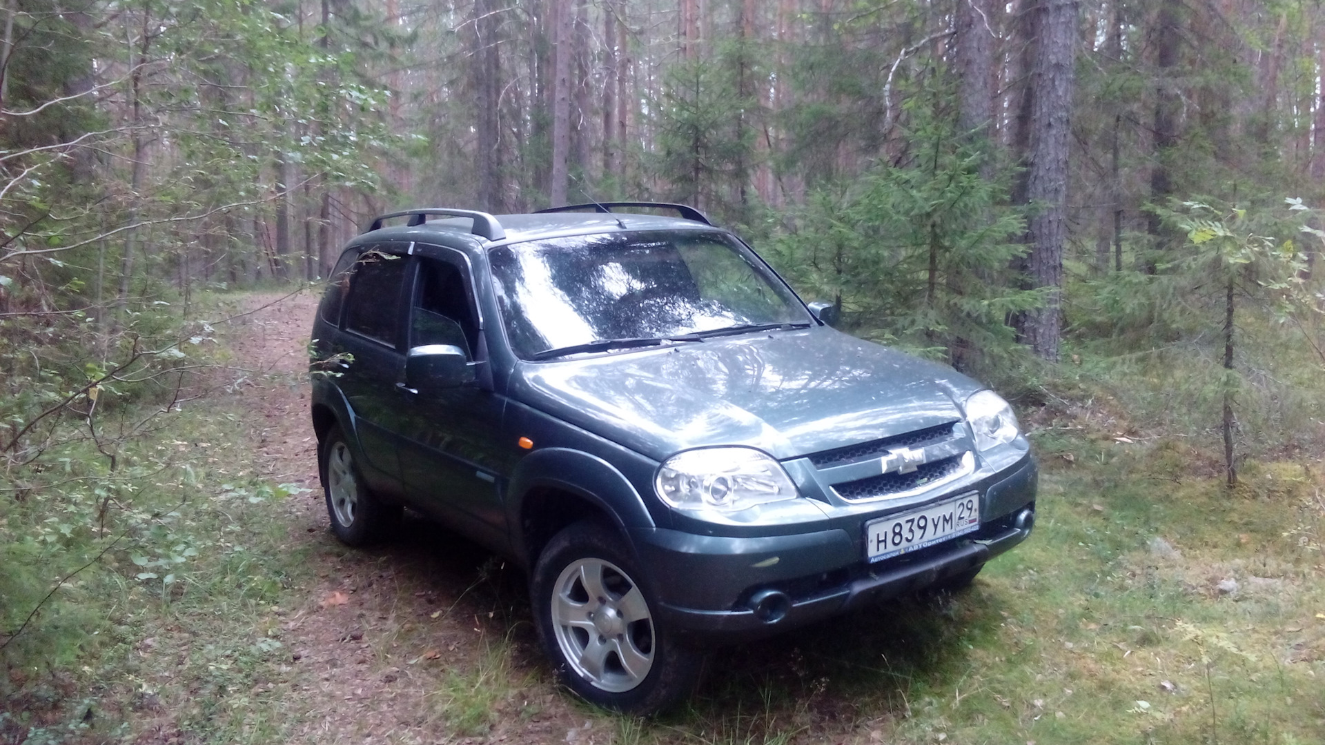 Нива отзывы владельцев. Нива Шевроле серо зеленая. Chevrolet Niva серо зеленый. Тёмно зелёный серый Шевроле Нива. Нива Шевроле серо зеленоватая.