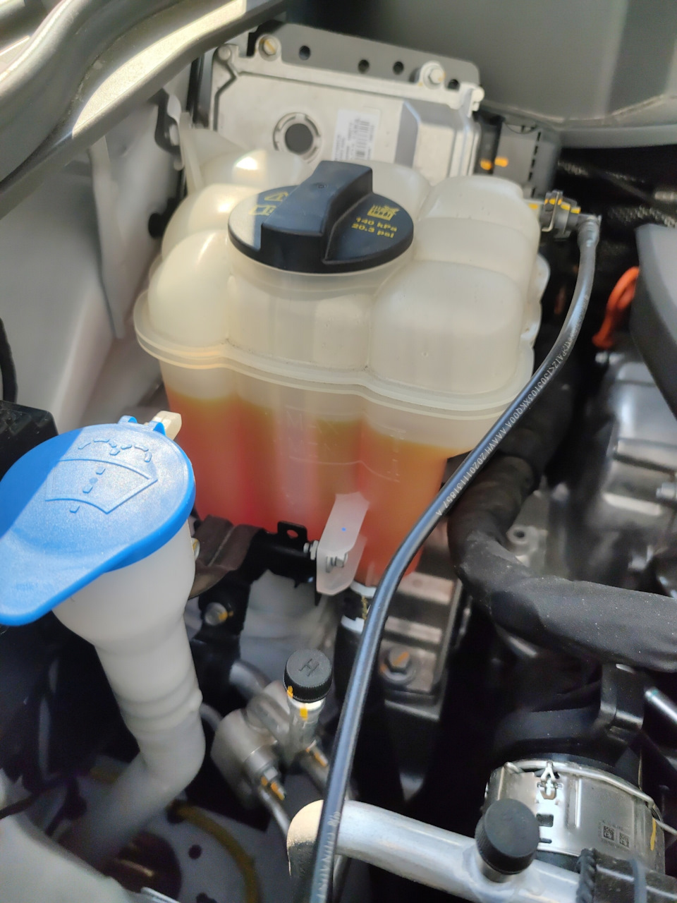 Долив антифриза — Haval F7, 1.5 liter, 2019 year on DRIVE2