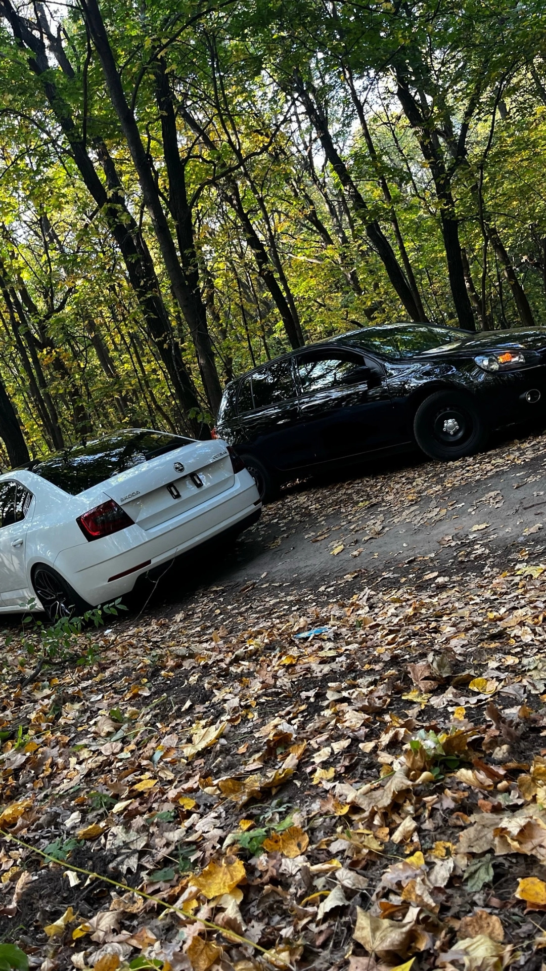 Нужна помощь! Не с первого раза качает бензонасос (( — Volkswagen Golf ...