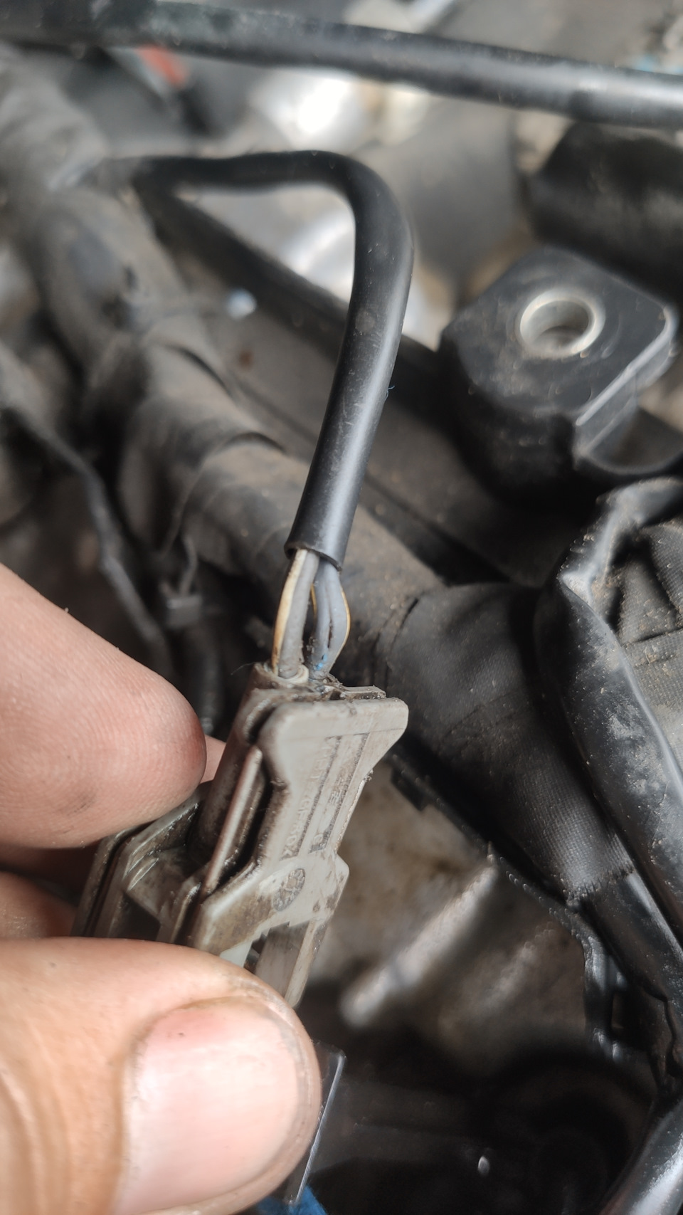 Фото в бортжурнале SsangYong Kyron