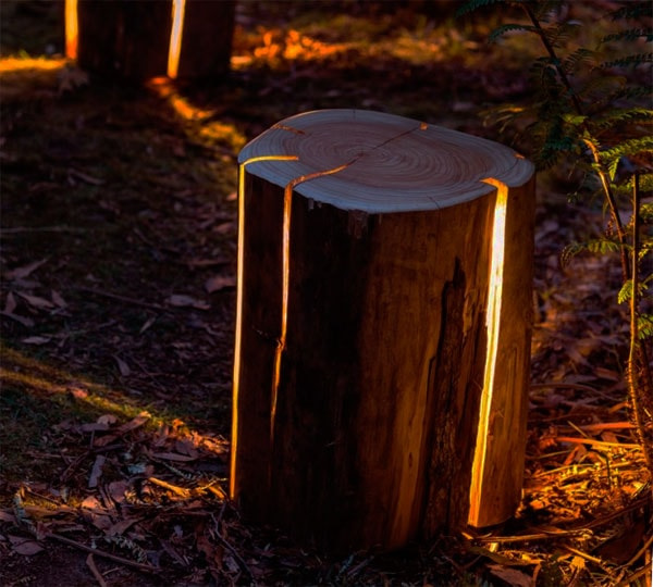5 способов использовать деревянный пень, а не пускать его на дрова