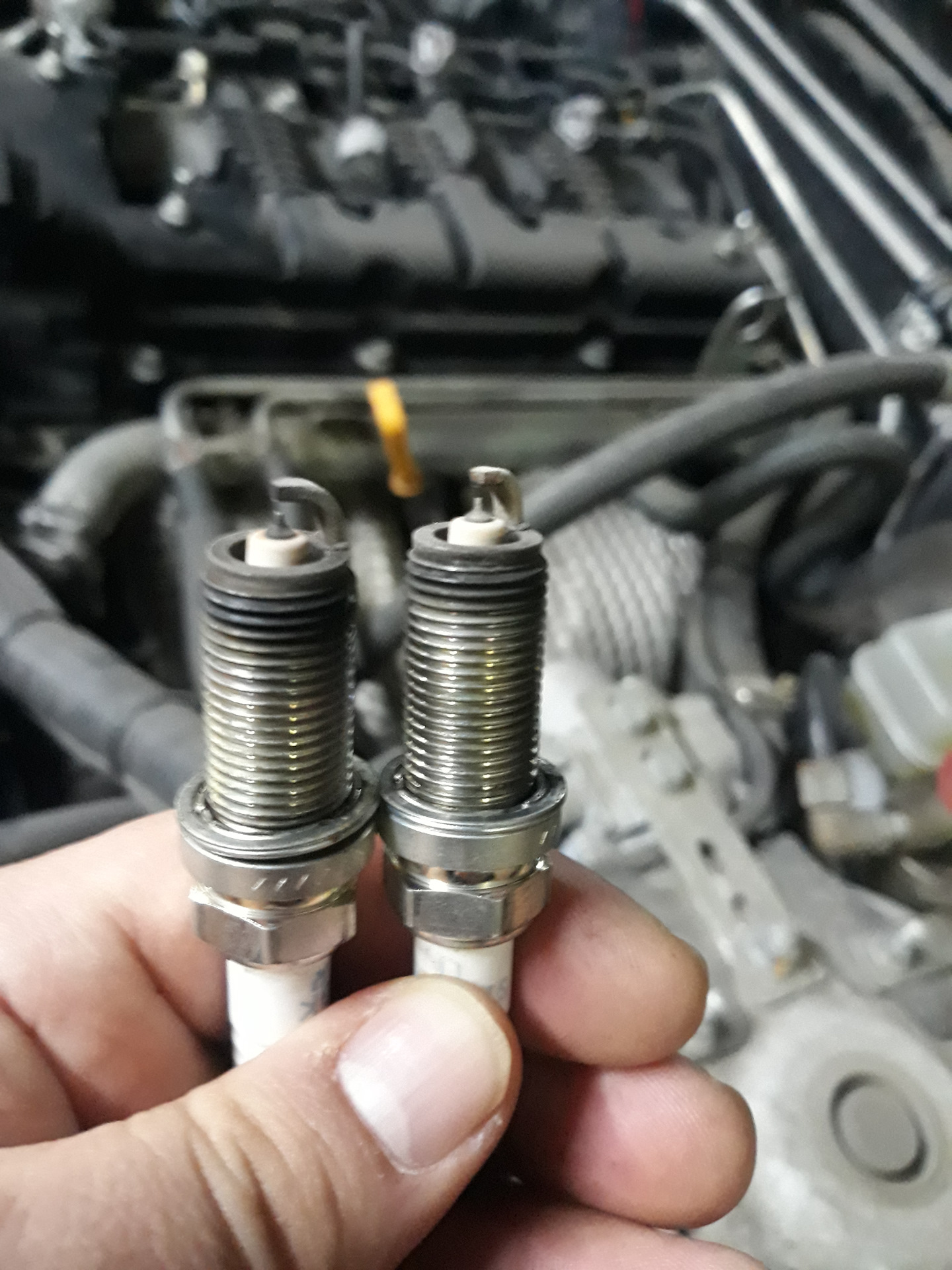 свечной ключ форд мондео 3 1. свечи зажигания ford maverick 2. в какую сторону откручиваются свечи. открутить свечи. в какую сторону выкручиваются свечи.