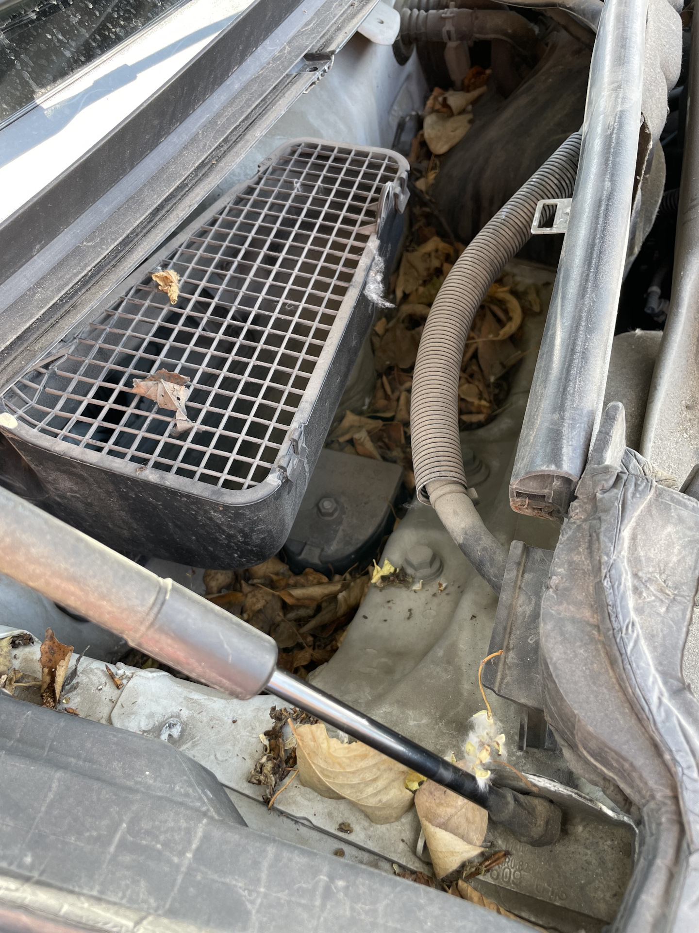 Мытье унитаза. Мойка двс 2110. Помыть двигатель автомобиля. Чистка под. Чистка под.