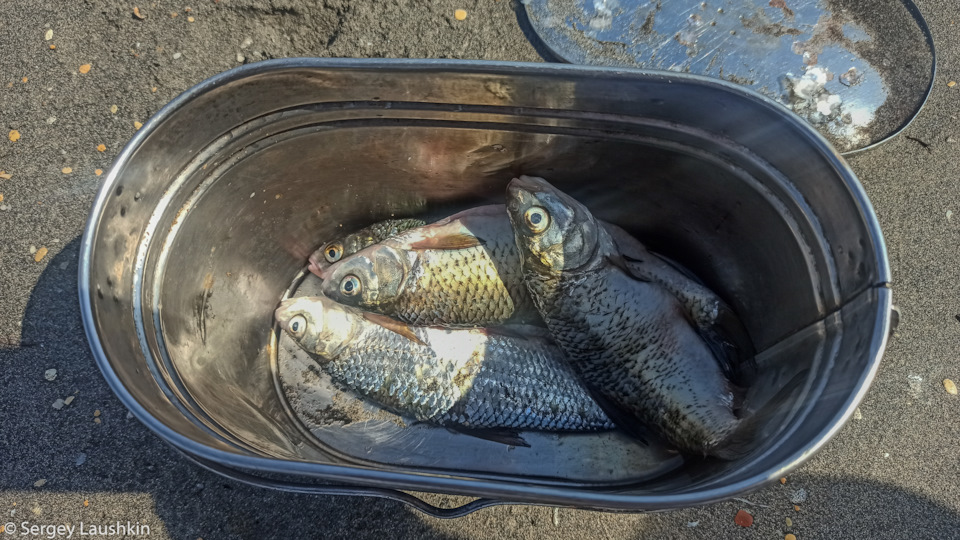 Улов. — Mitsubishi Pajero Sport (2G)