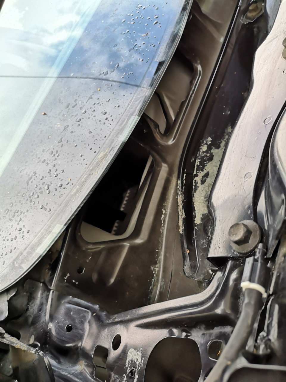 даже после мойки остался этот зелёный налёт, тактильно как наждачка. — Mazda 6 (2G) GH