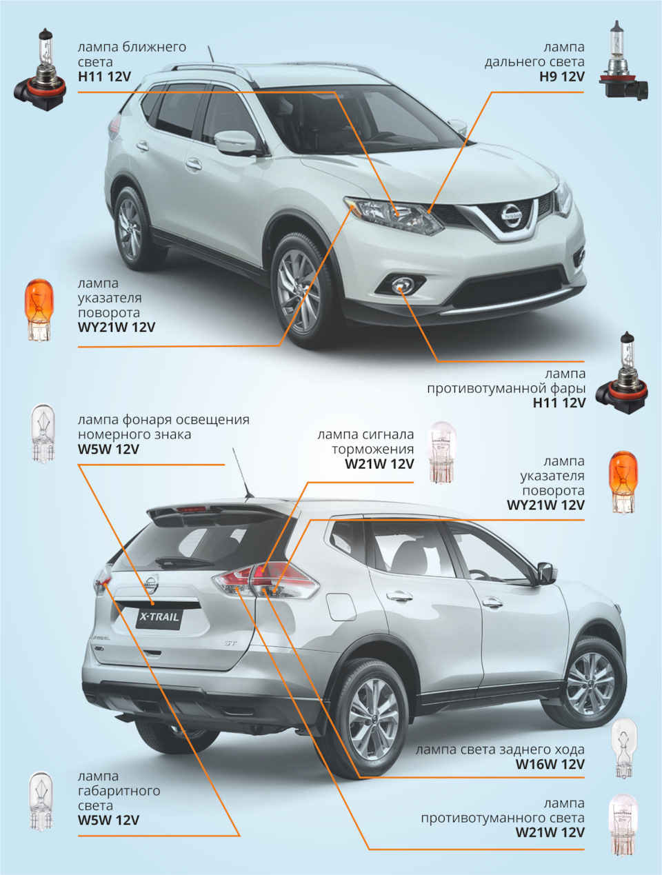 Подбор ламп на ваше авто. Подробная инструкция для Nissan X-Trail (T31,  T32) — Goodyear Car Accessories на DRIVE2