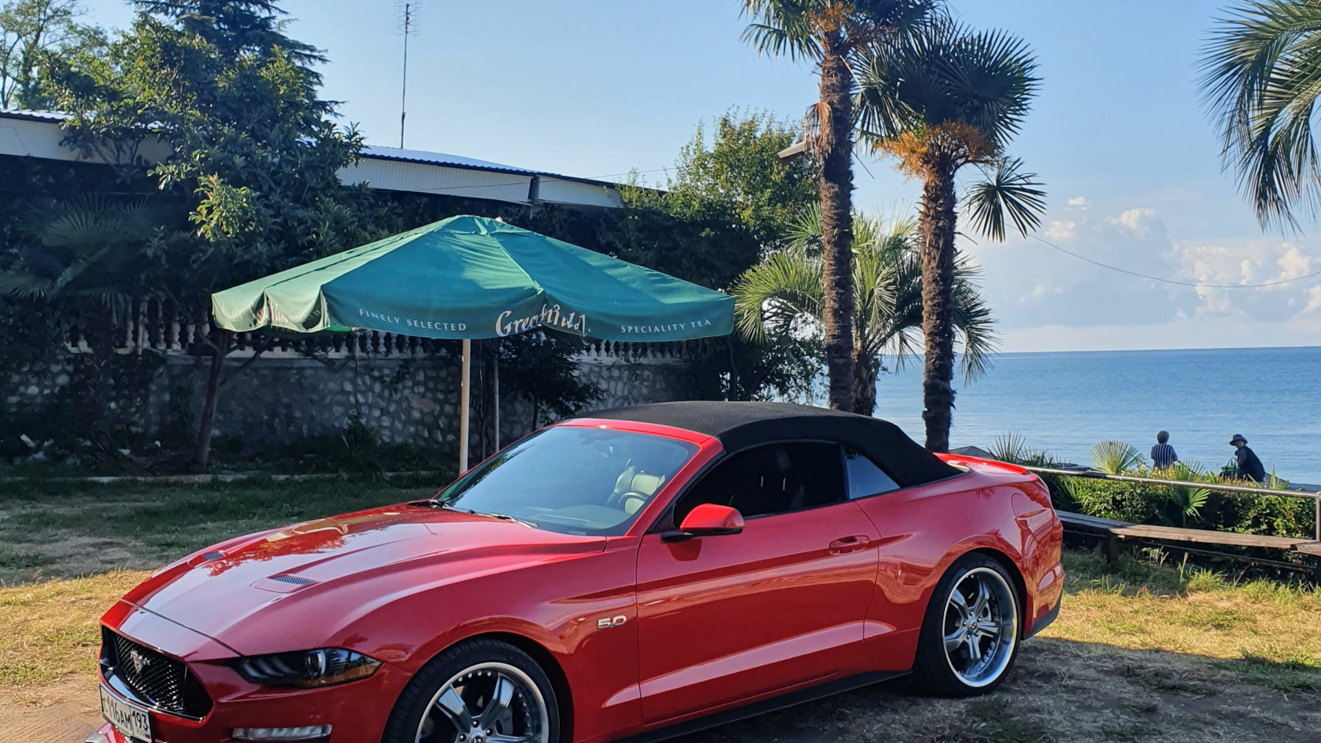 Ford Mustang (6G) 5.0 бензиновый 2019 | GT Cabrio на DRIVE2